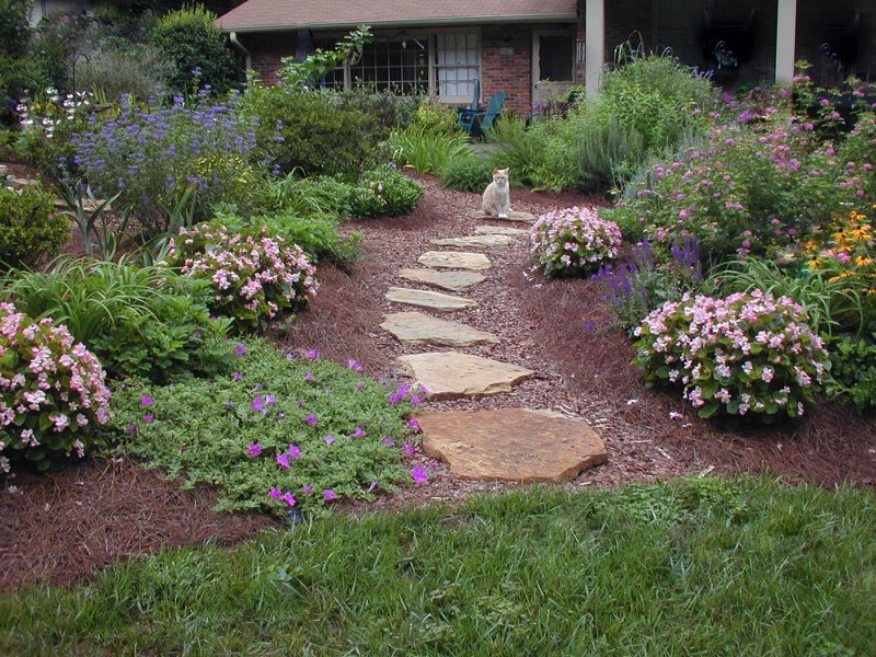 natural stepping stone path